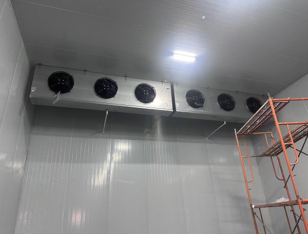 冷庫(kù)安裝案例